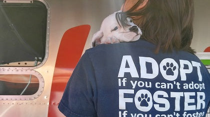 Pet Adoption Event Recap