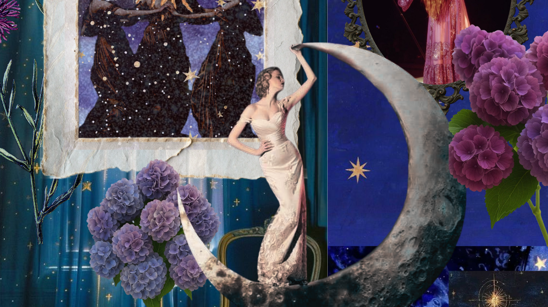 What's Written in the Stars? Exploring Our Celestial Collection