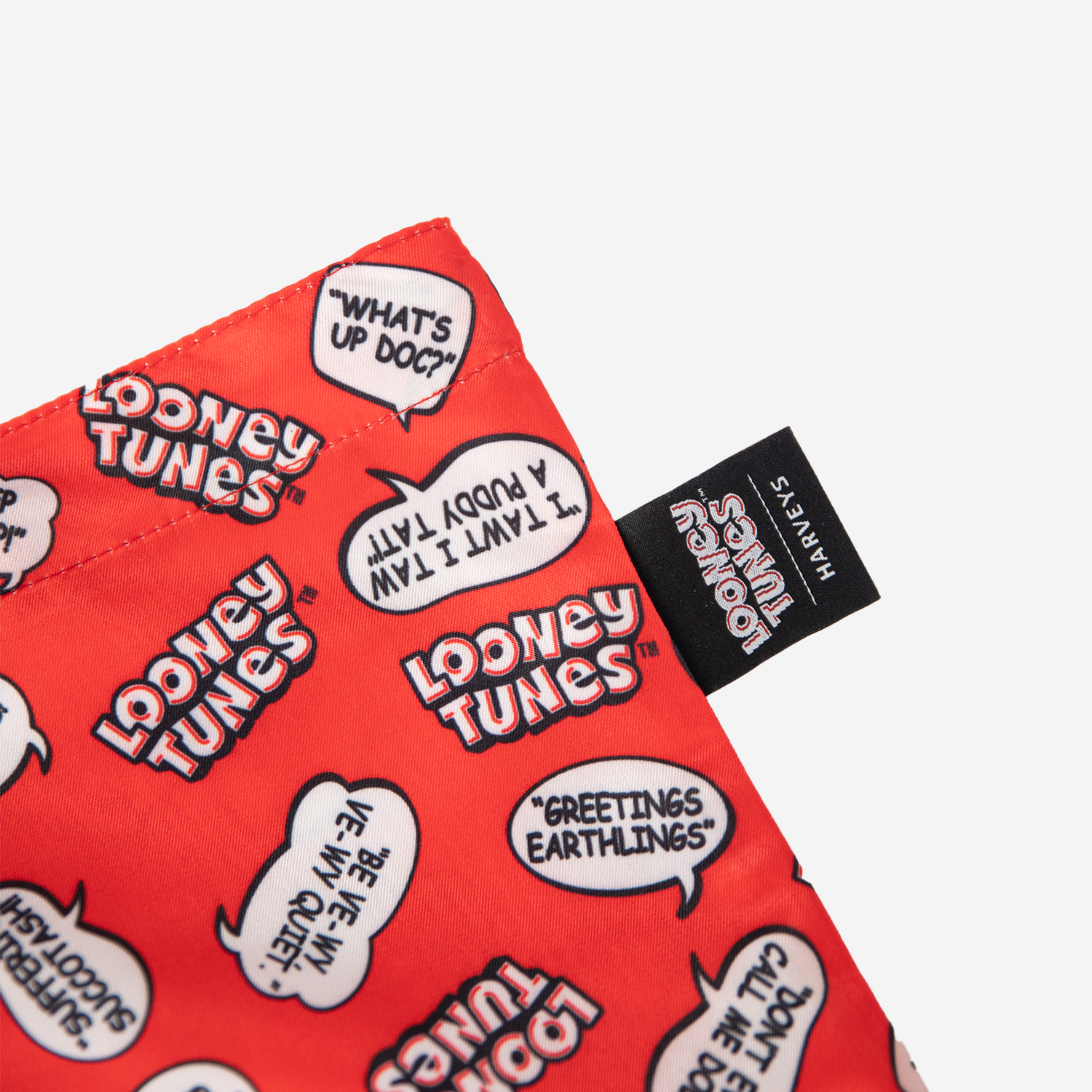 looneytunesshoppertotecloseuptagshot