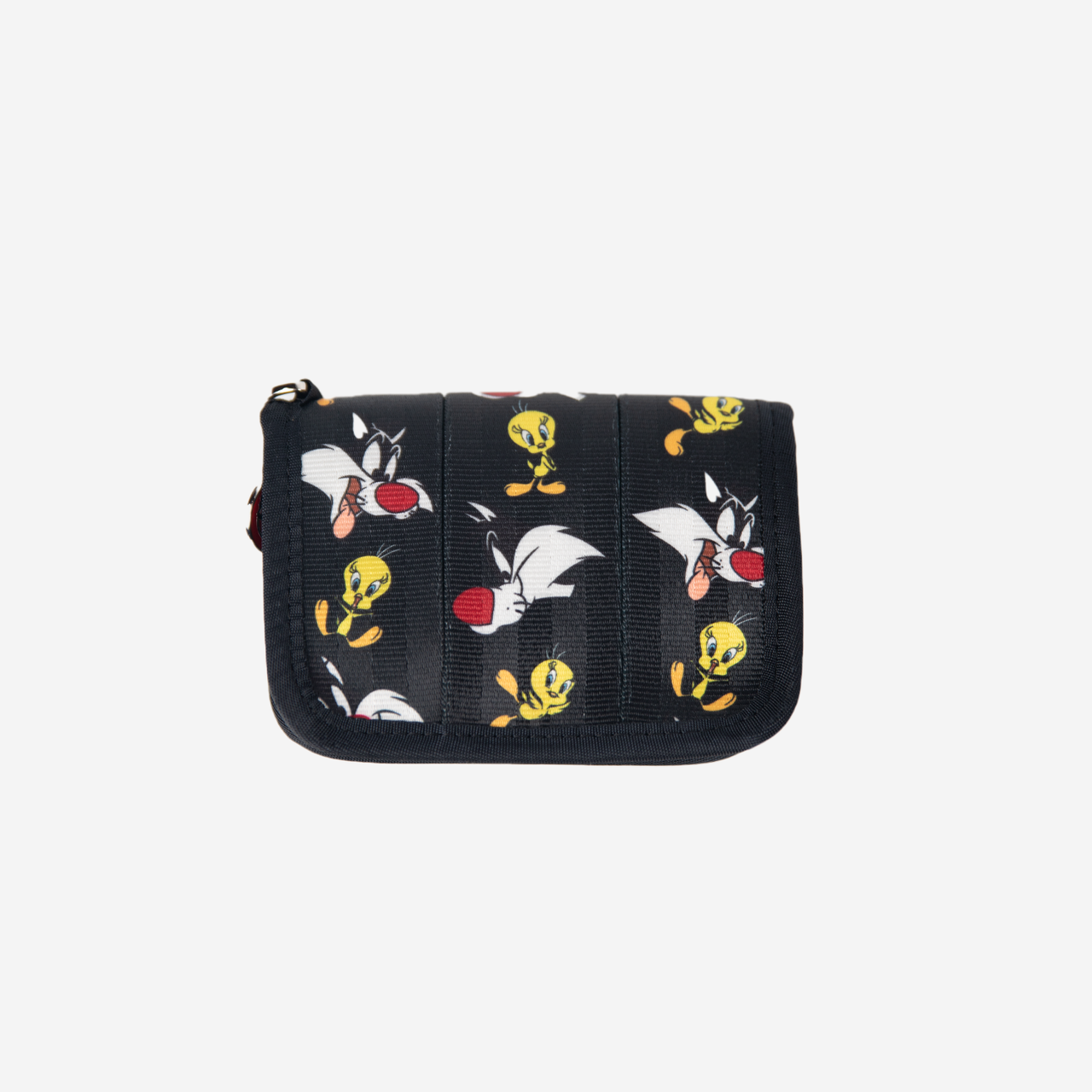 fswfrontviewsylvester+tweety