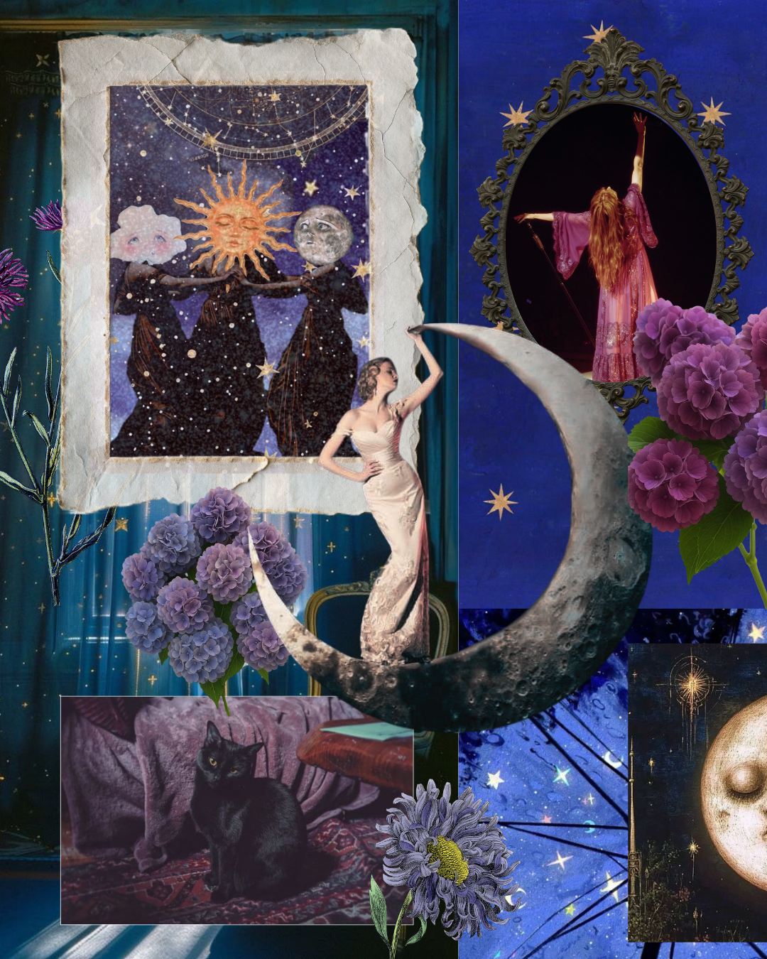 What's Written in the Stars? Exploring Our Celestial Collection