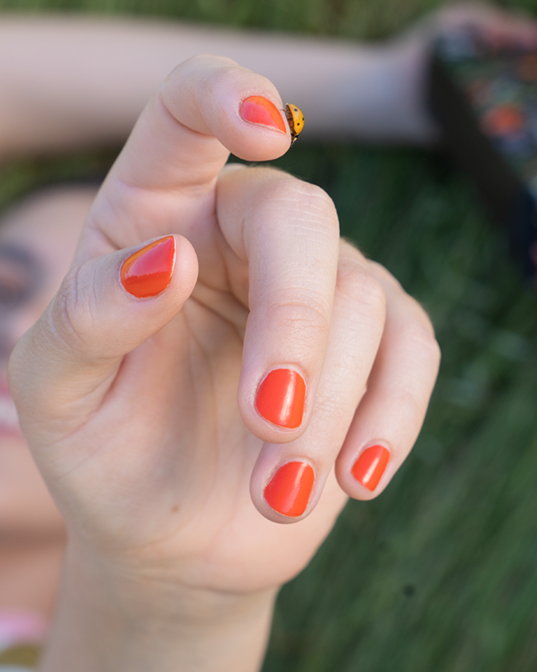 Chasing Wildflowers: A Southern California Spring Guide