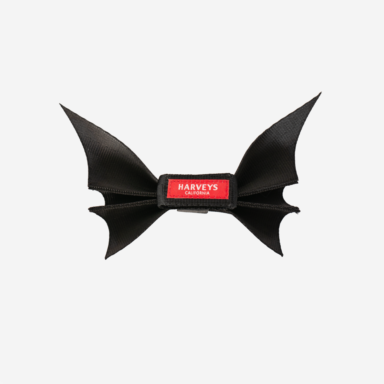 Back view of a Bat Bow in Black