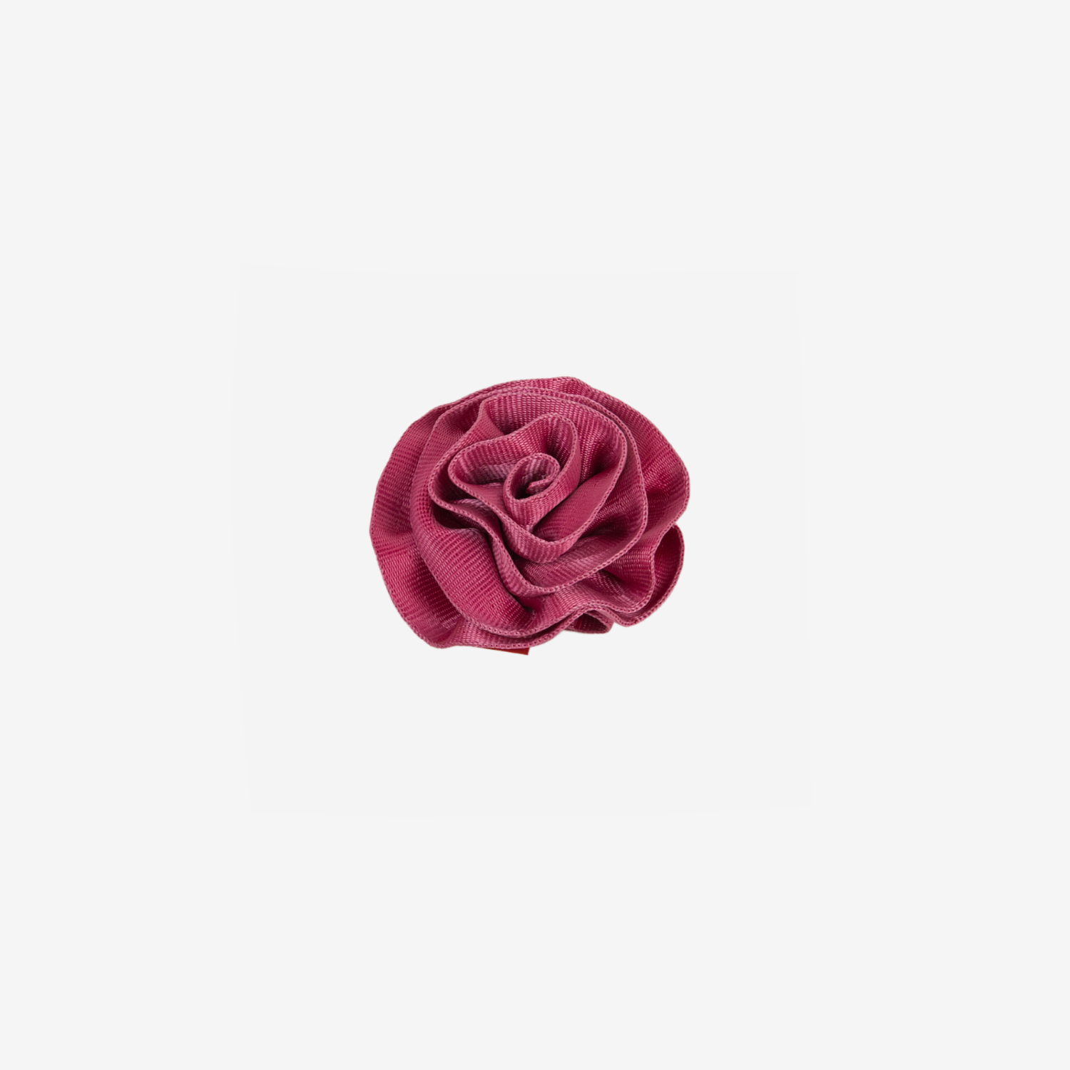 The front of a Fuchsia Rosette