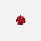 View of Classic Red Rosette Clip