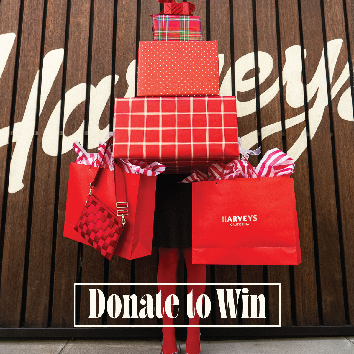 Shop HARVEYS California | The Original Seatbeltbag