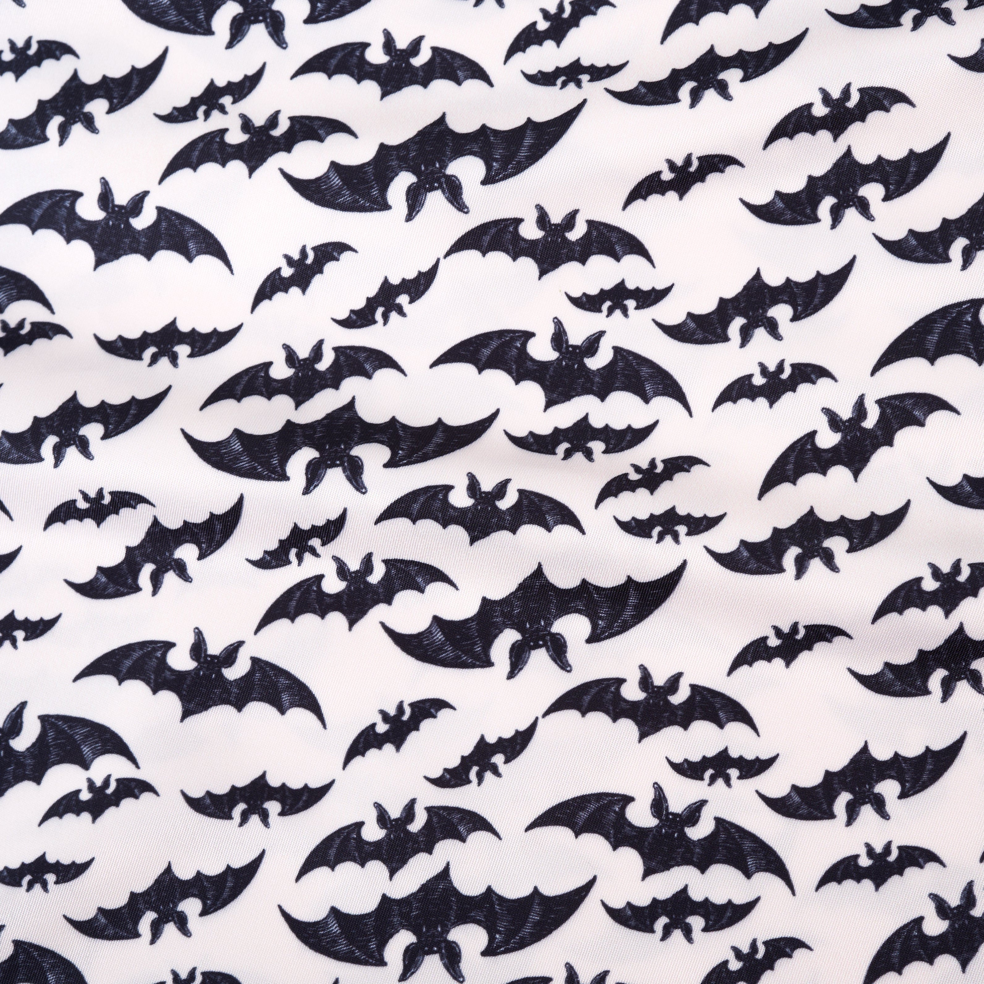 inside lining featuring bats