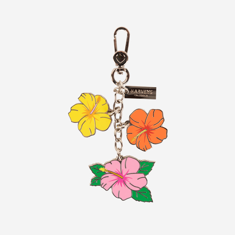 Hibiscus Charm 