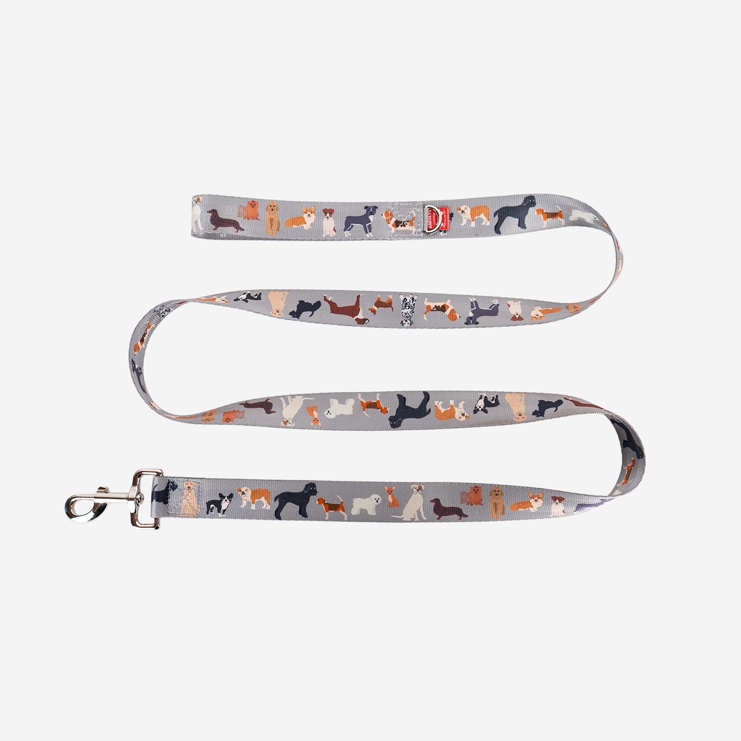 The front view of the Dog Leash in Top Dog