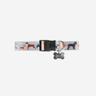 The front view of the M/L Dog Collar in Top Dog
