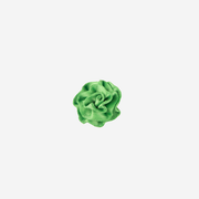 Front view of a Rosette Clip in the color Apple