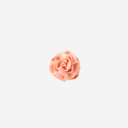 Front view of a Rosette Clip in the color Cantaloupe
