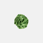 Rosette / Apple