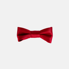 Seatbelt Bow / Scarlet