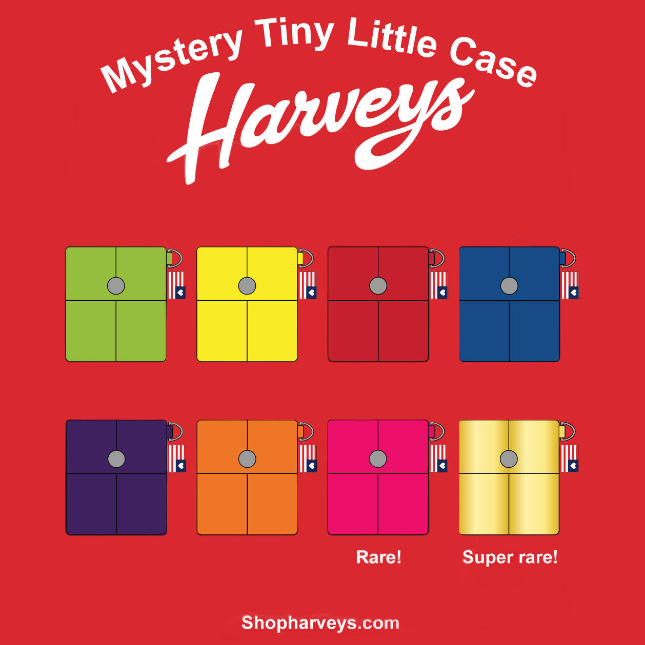 Mystery Tiny Little Case **Final Sale