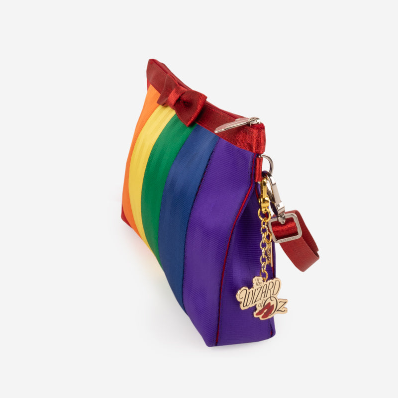 Warner Bros Rainbow Clutch Side View