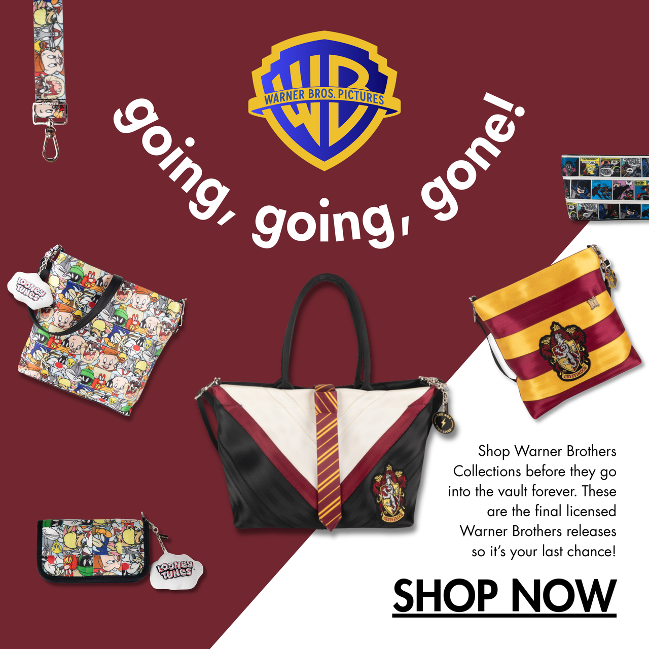 Shop our Warner Bros. collections. Harry Potter, Looney Tunes, and Batman bags featured