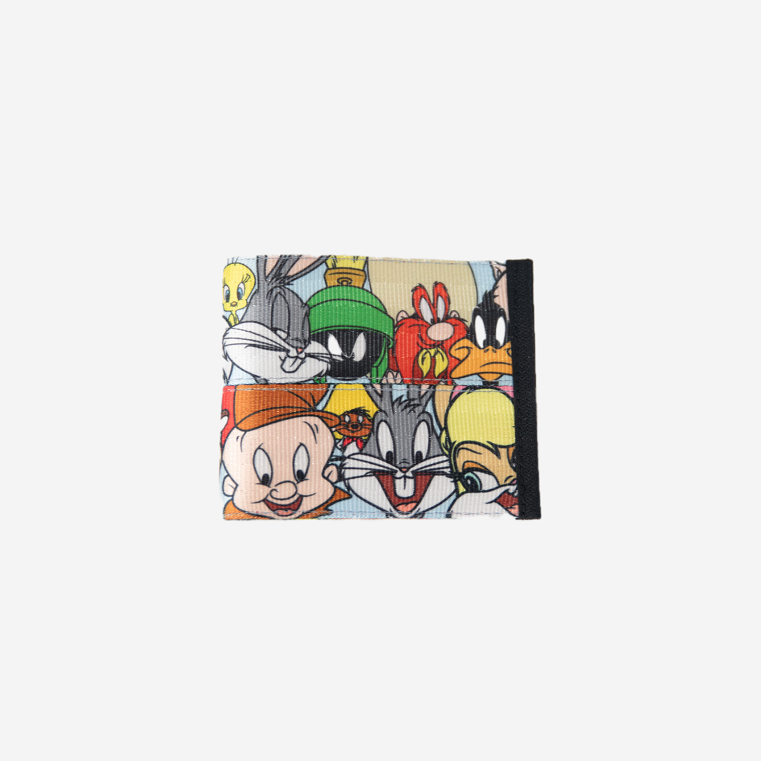 outsideshotbillfoldlooneytunes