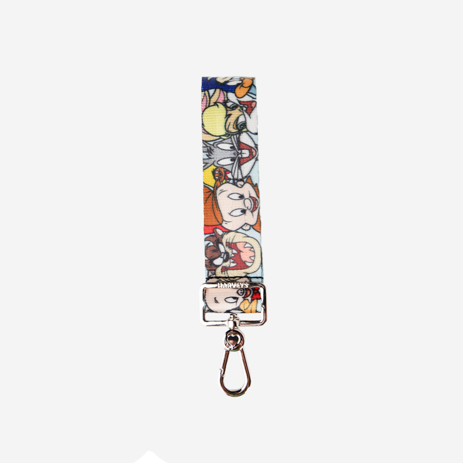 productshotkeychainlooneytunes