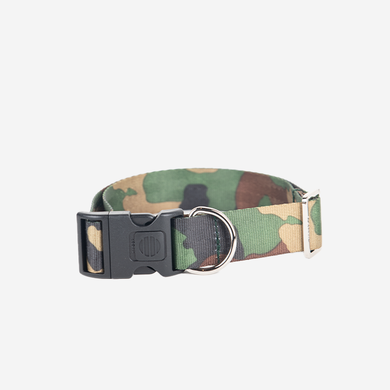 camo medium-large dog collar