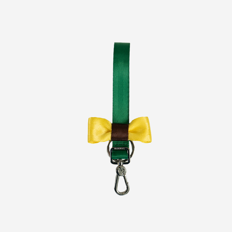 Frontyellowngreenbowkeychain