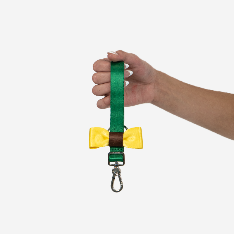 keychainbowyellowngreenlife